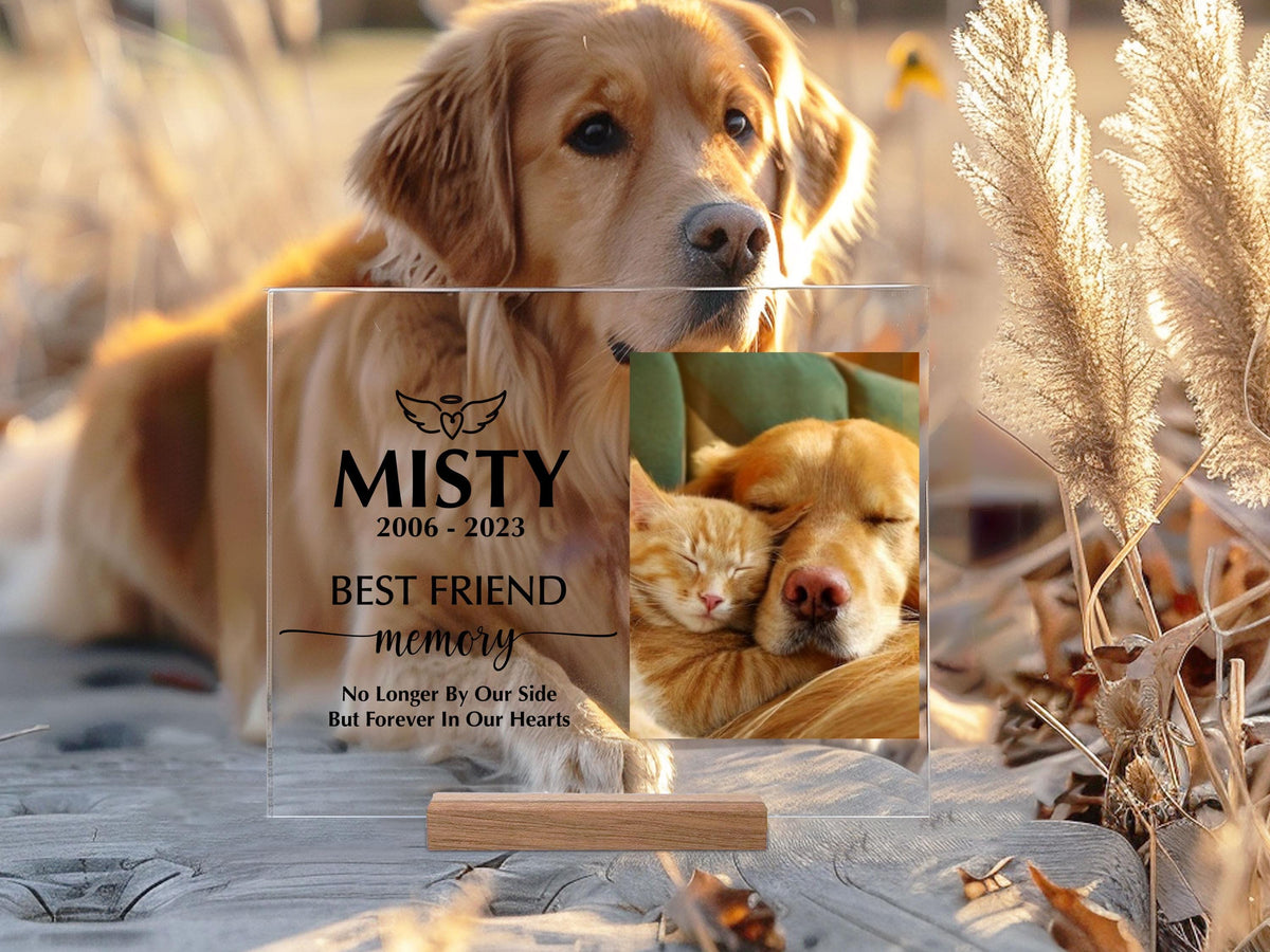 Pet Memorial Acrylic Sign, Personalized Gifts for Pet Loss, Dog or Cat Loss Gift, Cat Keepsake Sign, Pet Memorial Plaque, Sympathy Gifts