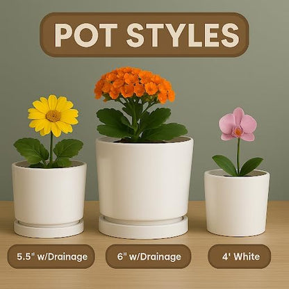 Personalized Grandma's Garden Planter with Birth Month Flowers, Custom Gift
