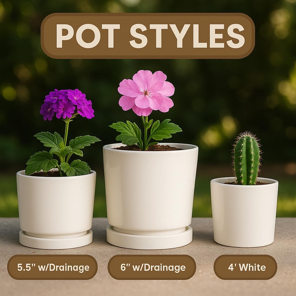 Gift for Grandma – Personalized Flower Pot with Grandkids’ Names – Custom Ceramic Planter for Nana, Mom or Grandma’s Garden – Holiday Christmas Home Décor Keepsake for Mantel, Mother’s Day