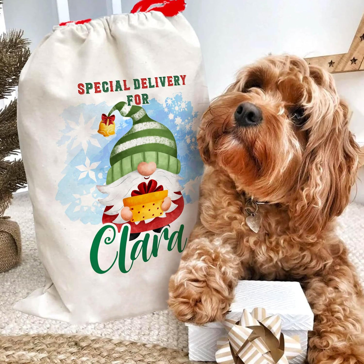 Personalized Christmas Santa Sack with Names, Custom Drawstring Gift Pouch