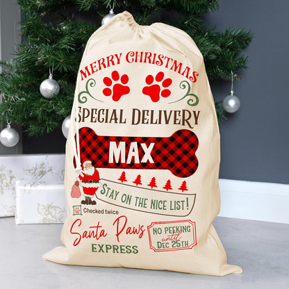 Custom Christmas Santa Sack, Personalized Xmas Sacks, Customized Drawstring Gift Bag for Presents, North Pole Gifts Pouch (Medium)