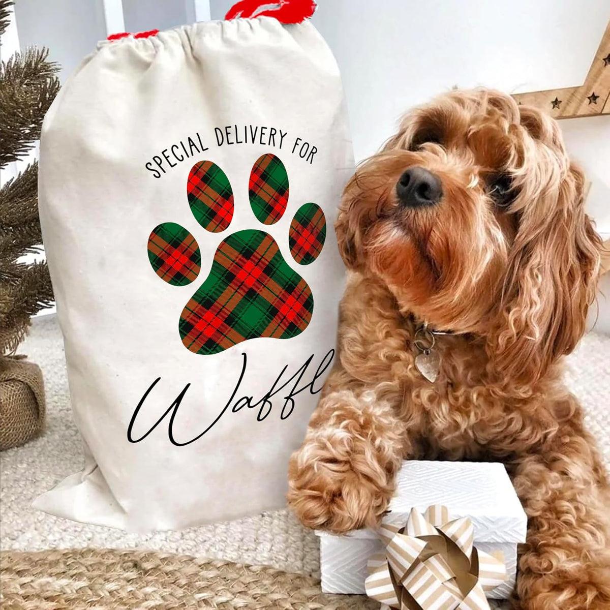 Personalized Christmas Santa Sack for Dogs and Cats, Custom Xmas Gift Pouch
