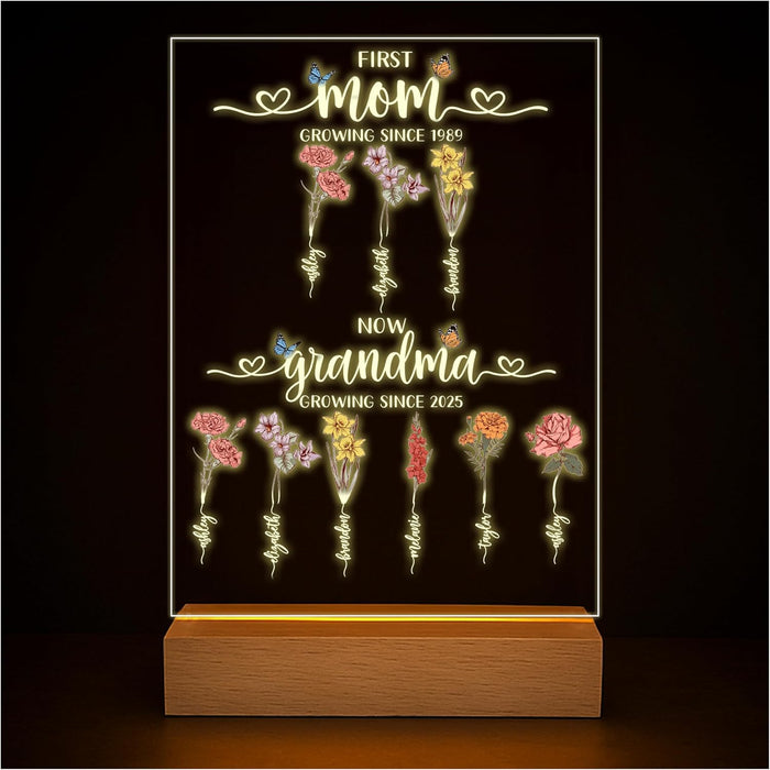 Personalized Birth Flower LED Acrylic Sign for Mom or Grandma – Custom Light-Up Plaque with Kids’ Names – Mother’s Day Gift, Christmas, or Year-Round Present, Birthday Floral Family Keepsake