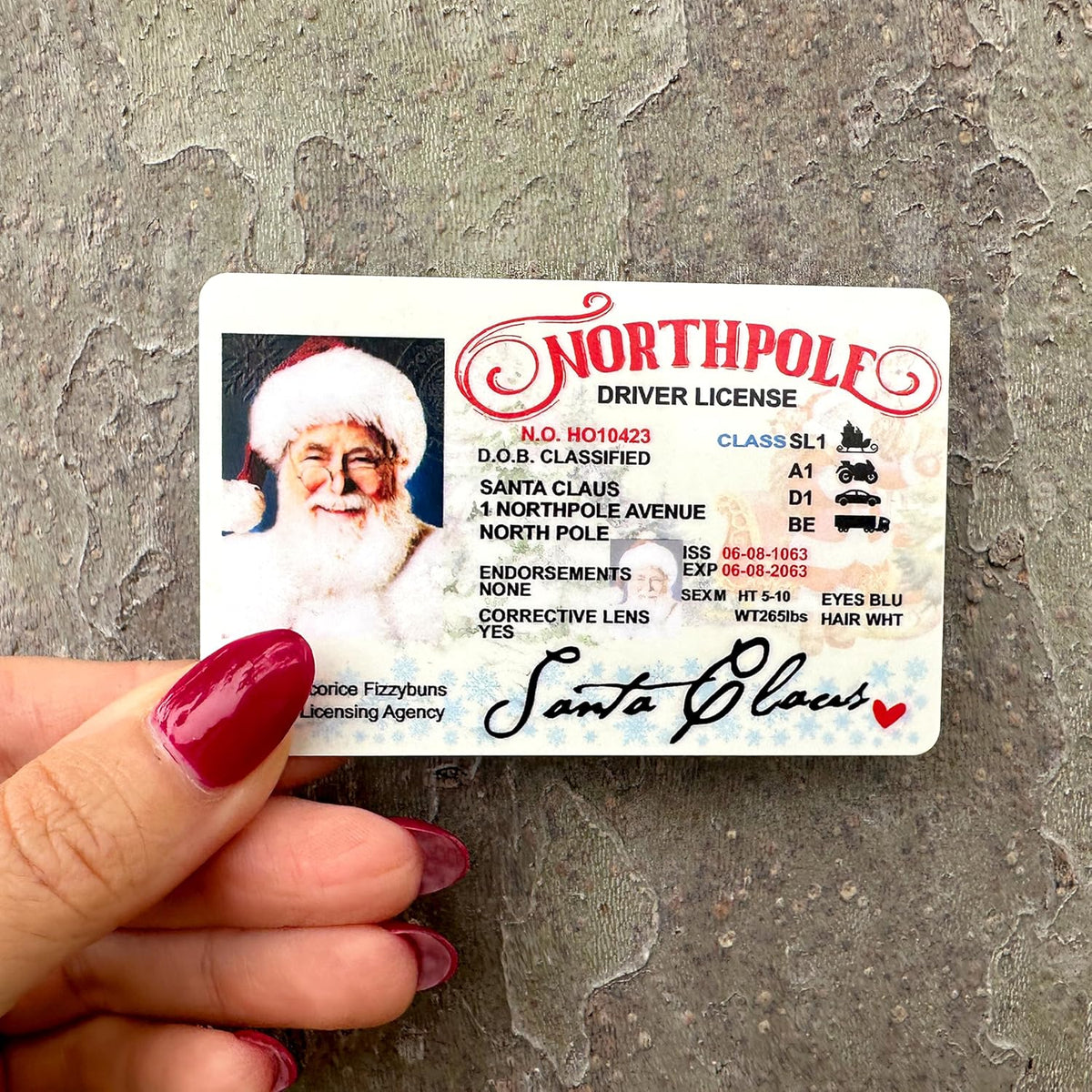 Zexpa Apparel Santa Claus North Pole Driver License - Fun Novelty Christmas ID Card for Kids, Holiday Party Favor, Christmas Stocking Stuffer, Sleigh Restrictions Card for Santa Fans