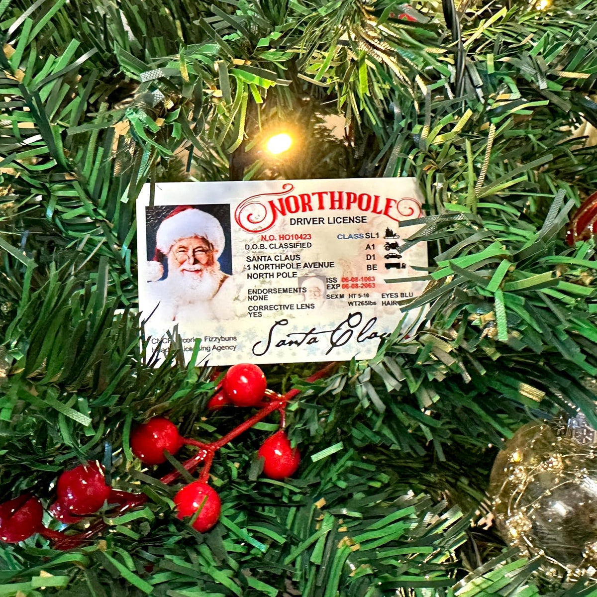 Zexpa Apparel Santa Claus North Pole Driver License - Fun Novelty Christmas ID Card for Kids, Holiday Party Favor, Christmas Stocking Stuffer, Sleigh Restrictions Card for Santa Fans