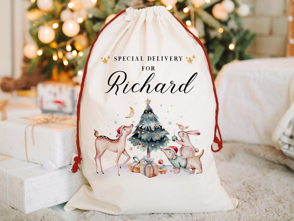 Personalized Christmas Eve Box Nutcracker Ballerina Reindeer Gift Bag for Kids Christmas, Special Delivery Christmas Santa Sack with Name