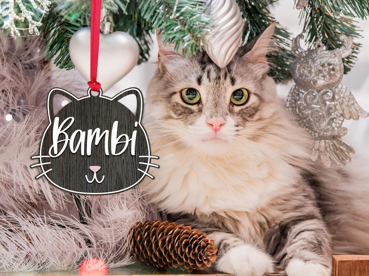 Personalized Cat Ornament for Pet Christmas Gift, Custom Christmas Cat Gift for Cat Lover, Christmas Ornament for Cat Owner Gift for Xmas