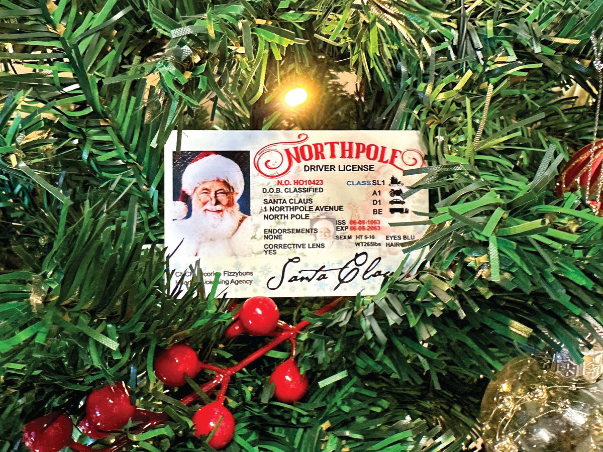 Santa Claus Driver’s License, Lost Drivers License, Christmas Decorations, Christmas Gift For Kids, Secret Santa gift, Santa ID, Fun Gift