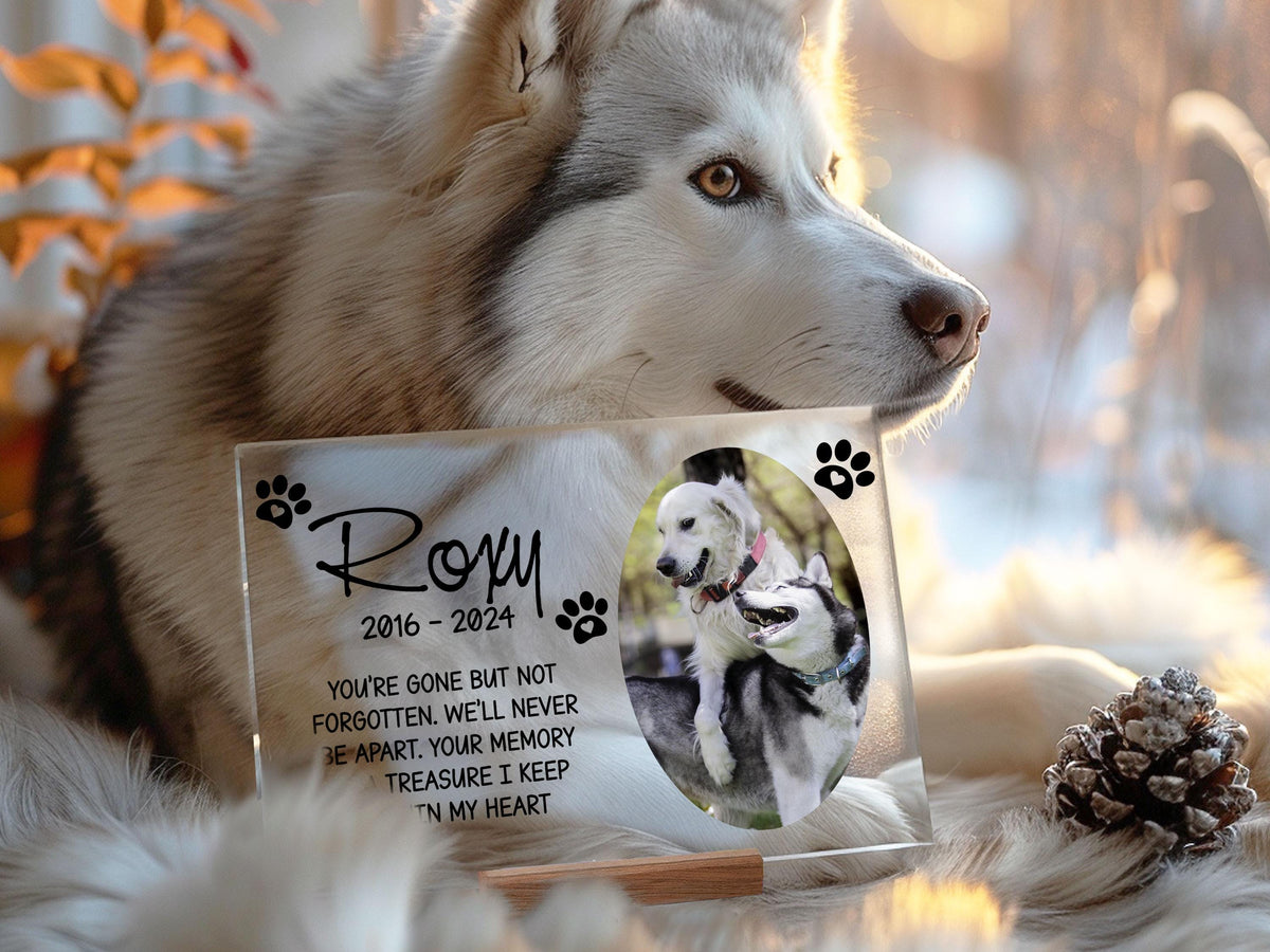 Pet Memorial Acrylic Sign, Personalized Gifts for Pet Loss, Dog or Cat Loss Gift, Cat Keepsake Sign, Pet Memorial Plaque, Sympathy Gifts