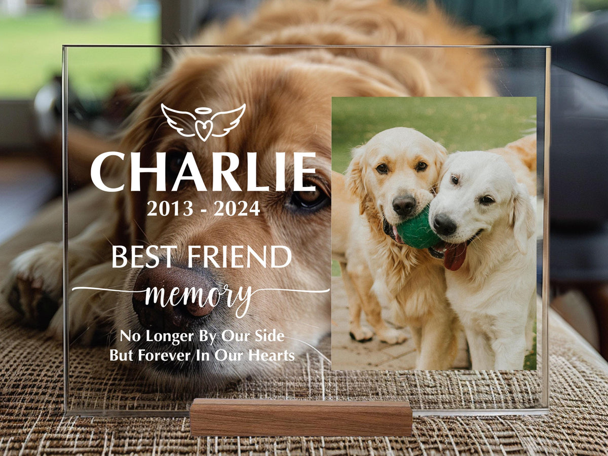Pet Memorial Acrylic Sign, Personalized Gifts for Pet Loss, Dog or Cat Loss Gift, Cat Keepsake Sign, Pet Memorial Plaque, Sympathy Gifts