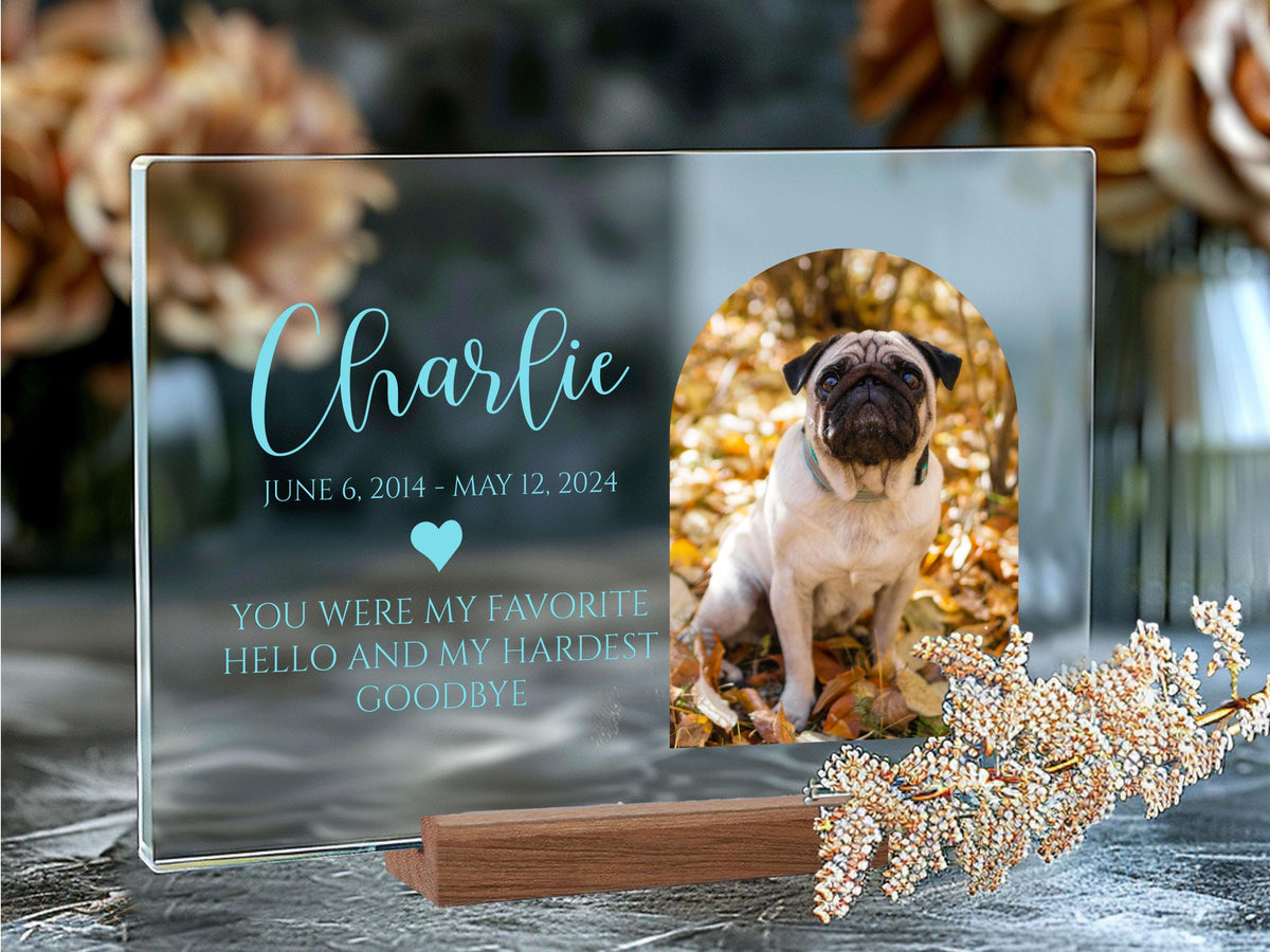 Pet Memorial Acrylic Sign, Personalized Gifts for Pet Loss, Dog or Cat Loss Gift, Cat Keepsake Sign, Pet Memorial Plaque, Sympathy Gifts