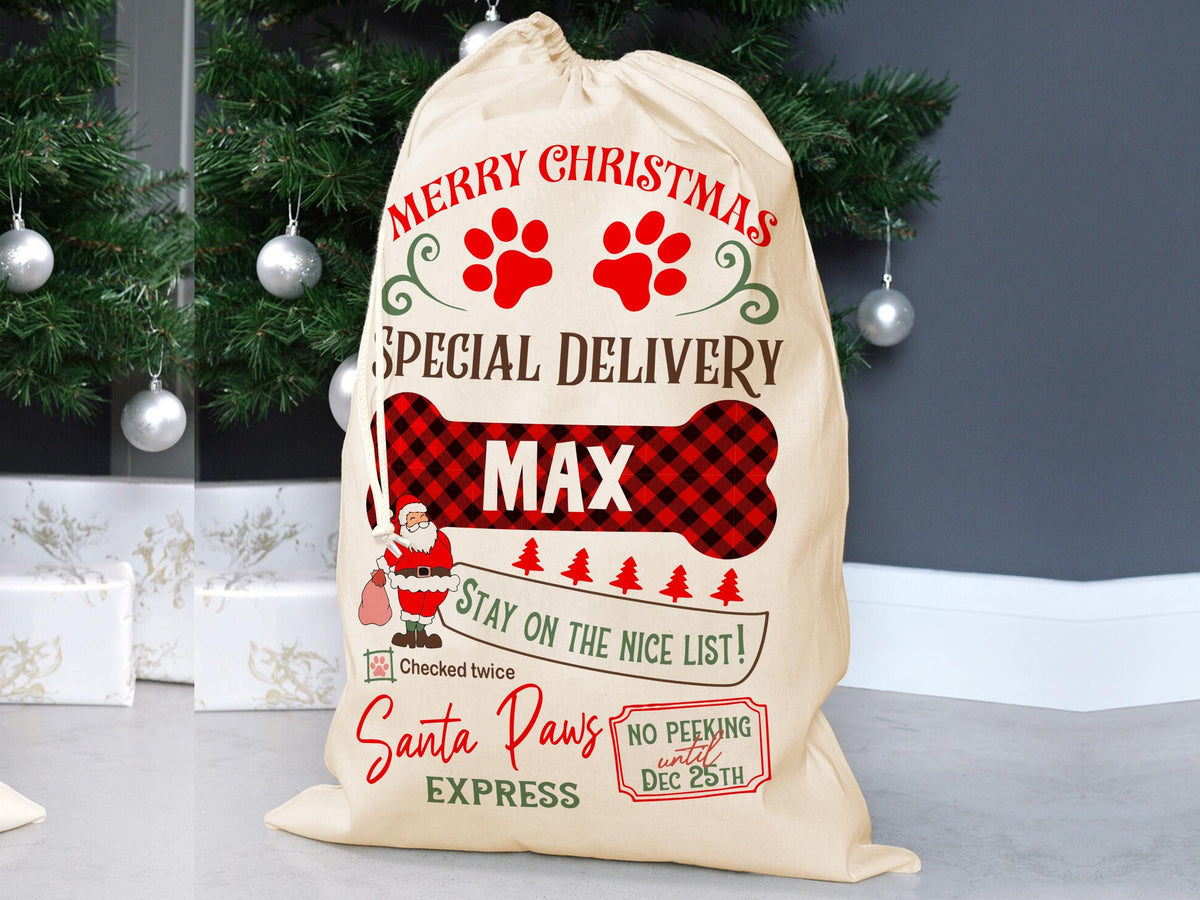 Custom Large Santa Sack Bags, Custom Christmas Gift Bag, Christmas Eve Box, Personalized Christmas Gift Sack for Christmas, Holiday Gift Bag