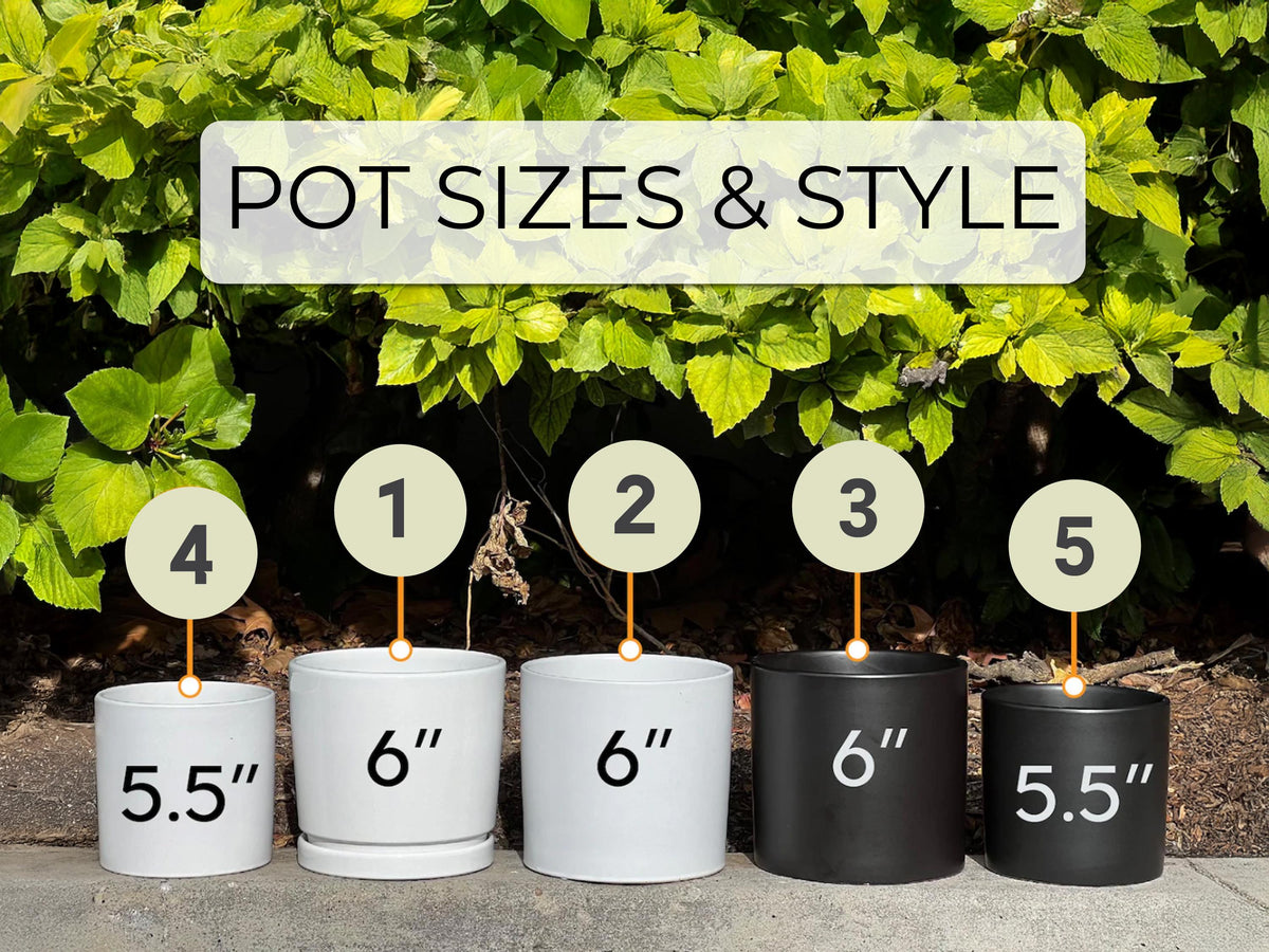 Personalized Grandma Flower Pot, Birth Month Flower Planter, Custom Garden Pot with Names, Gift for Nana, Mother’s Day Gift for Mom
