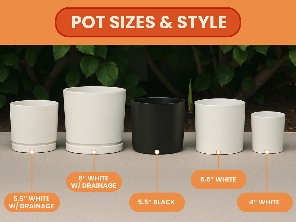 Personalized Flower Pot with Grandkids Name | Custom Gift for Grandma | Custom Grandma Gift for Mothers Day Gift | Custom Outdoor Flower Pot