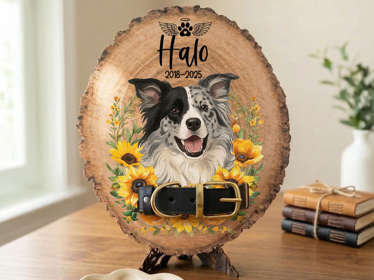Dog Memorial Gifts, Personalized Memorial Dog Photo Sign, Memorial Pet Collar Sign, Pet Remembrance Keepsake, Custom Cat Loss Sympathy Gift