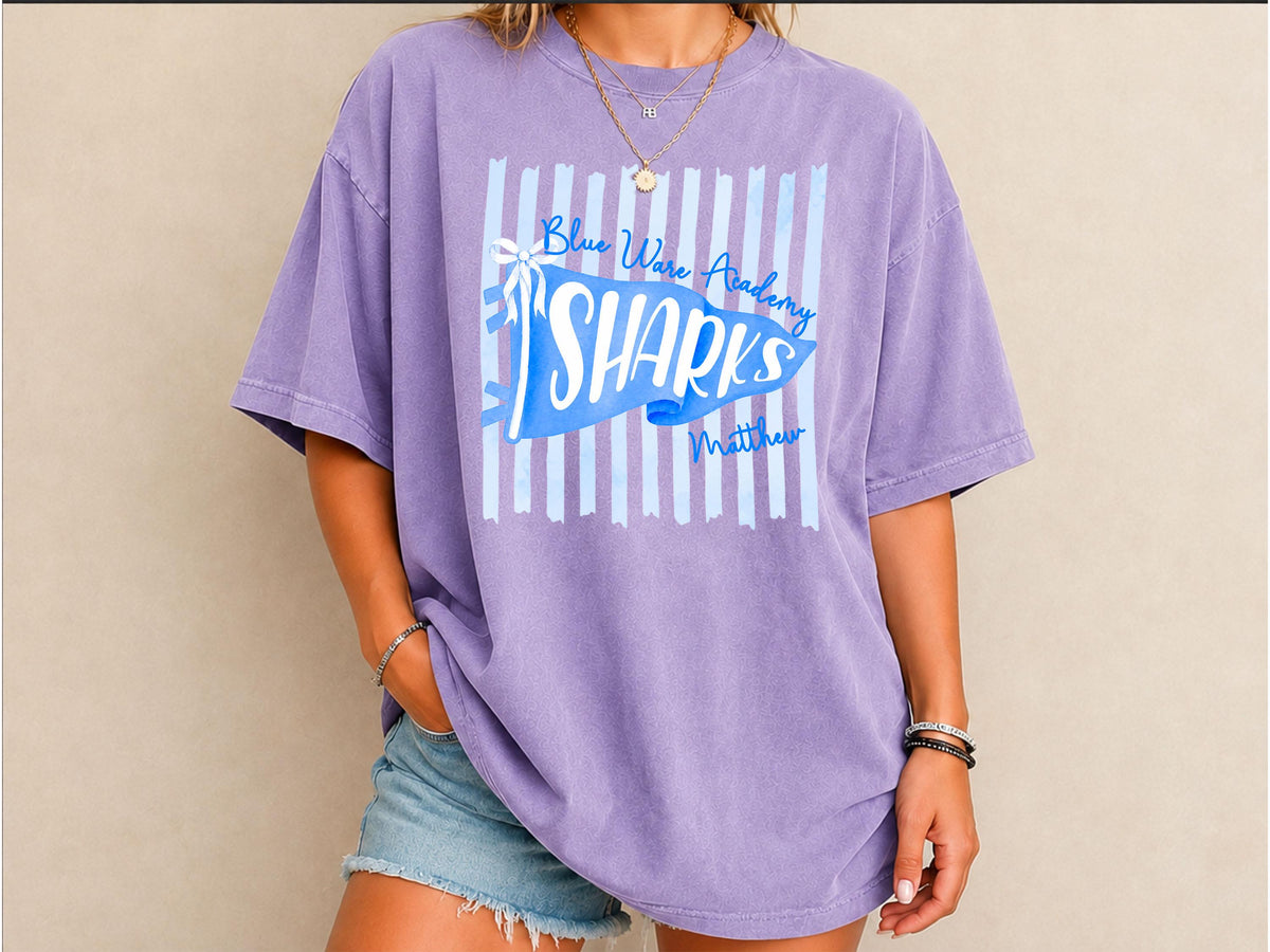Custom School Mascot Shirt, School Spirit Shirt, Personalized Game Day Shirt, Custom Pennant Flag Tee, Football Season Shirt