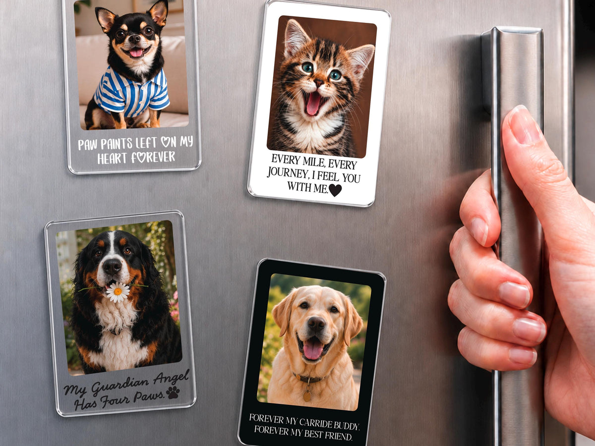 Custom Pet Memorial Photo Car Visor Clip, Personalized Dog Memorial Gift, Pet Remembrance Keepsake, Dog Sympathy Gift for Him for Christmas