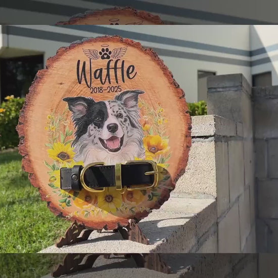 Custom Wooden Pet Memorial Collar Sign, Personalized Dog Portrait Gift, Pet Loss Sympathy Gift, Cat Photo Wall Art, Pet Remembrance Plaque