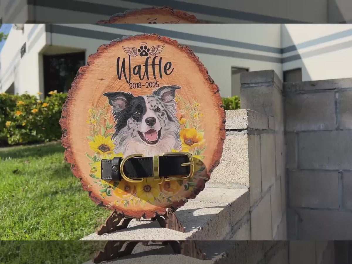 Custom Wooden Pet Memorial Collar Sign, Personalized Dog Portrait Gift, Pet Loss Sympathy Gift, Cat Photo Wall Art, Pet Remembrance Plaque